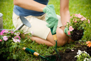 A woman using a gardening tool to plant a flower in some soil.